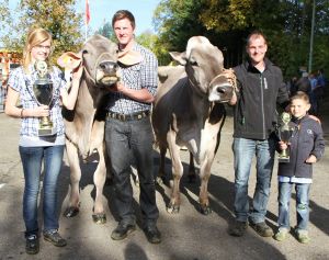 Champion Portmanns Mocambo Joya Vice Schmibachs Collection Corella